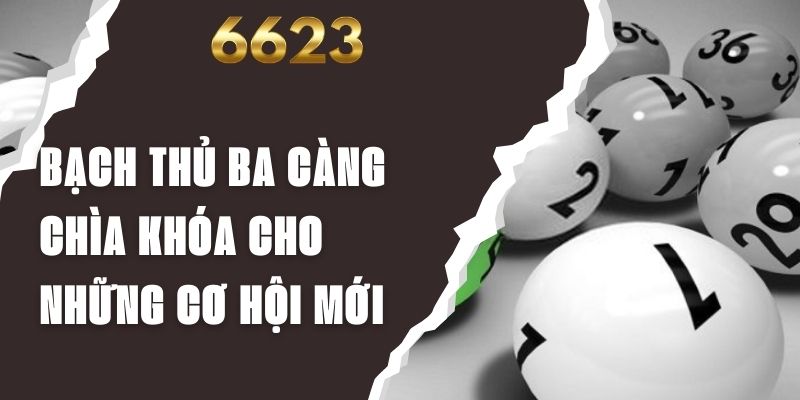 Bạch Thủ Ba Càng - Chìa Khóa Cho Những Cơ Hội Mới