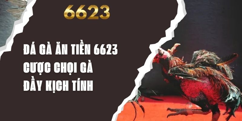 Đá Gà Ăn Tiền 6623 - Cược Chọi Gà Đầy Kịch Tính