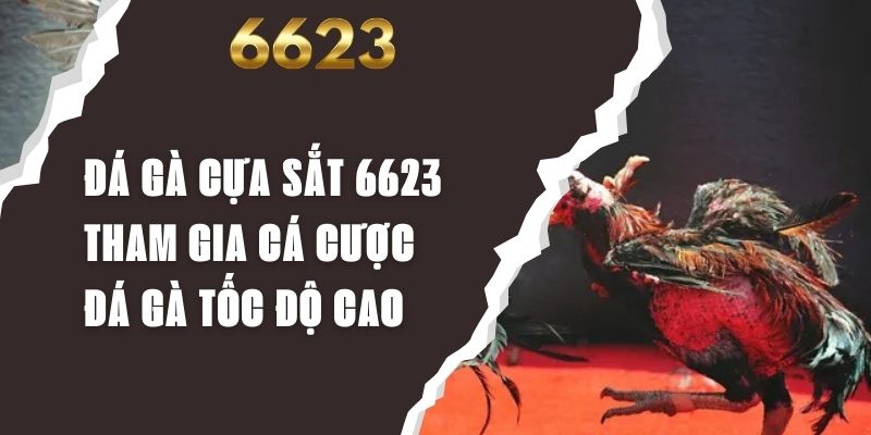 Đá Gà Cựa Sắt 6623 - Tham Gia Cá Cược Đá Gà Tốc Độ Cao