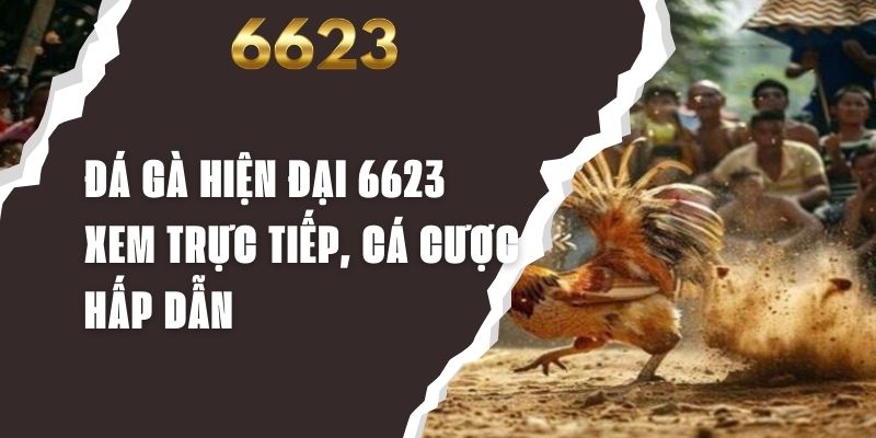 Đá Gà Hiện Đại 6623 - Xem Trực Tiếp, Cá Cược Hấp Dẫn